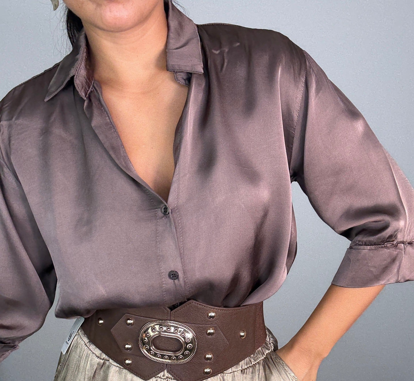 Camisa SATINADA BASIC