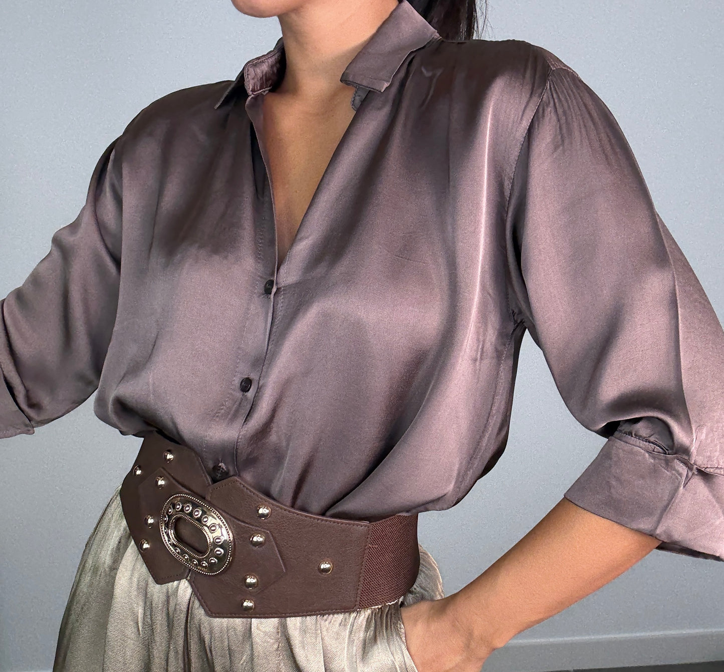 Camisa SATINADA BASIC