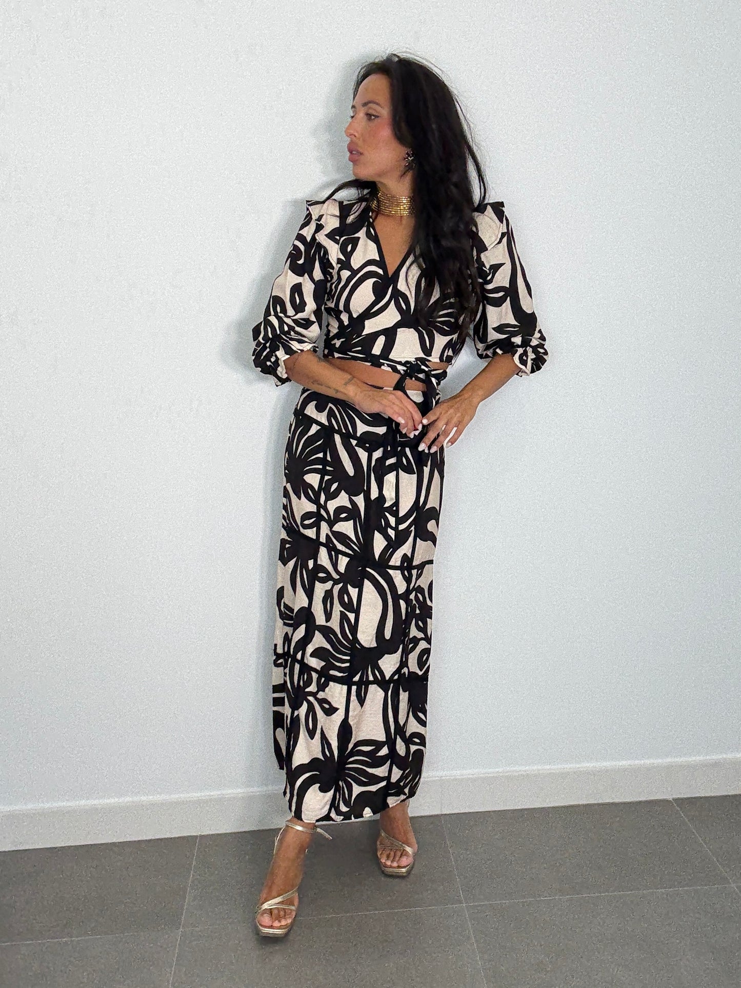 Conjunto FELISA