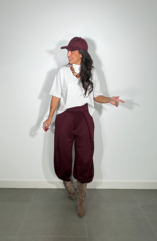 Pantalón CAPA DE AIRE PINZAS