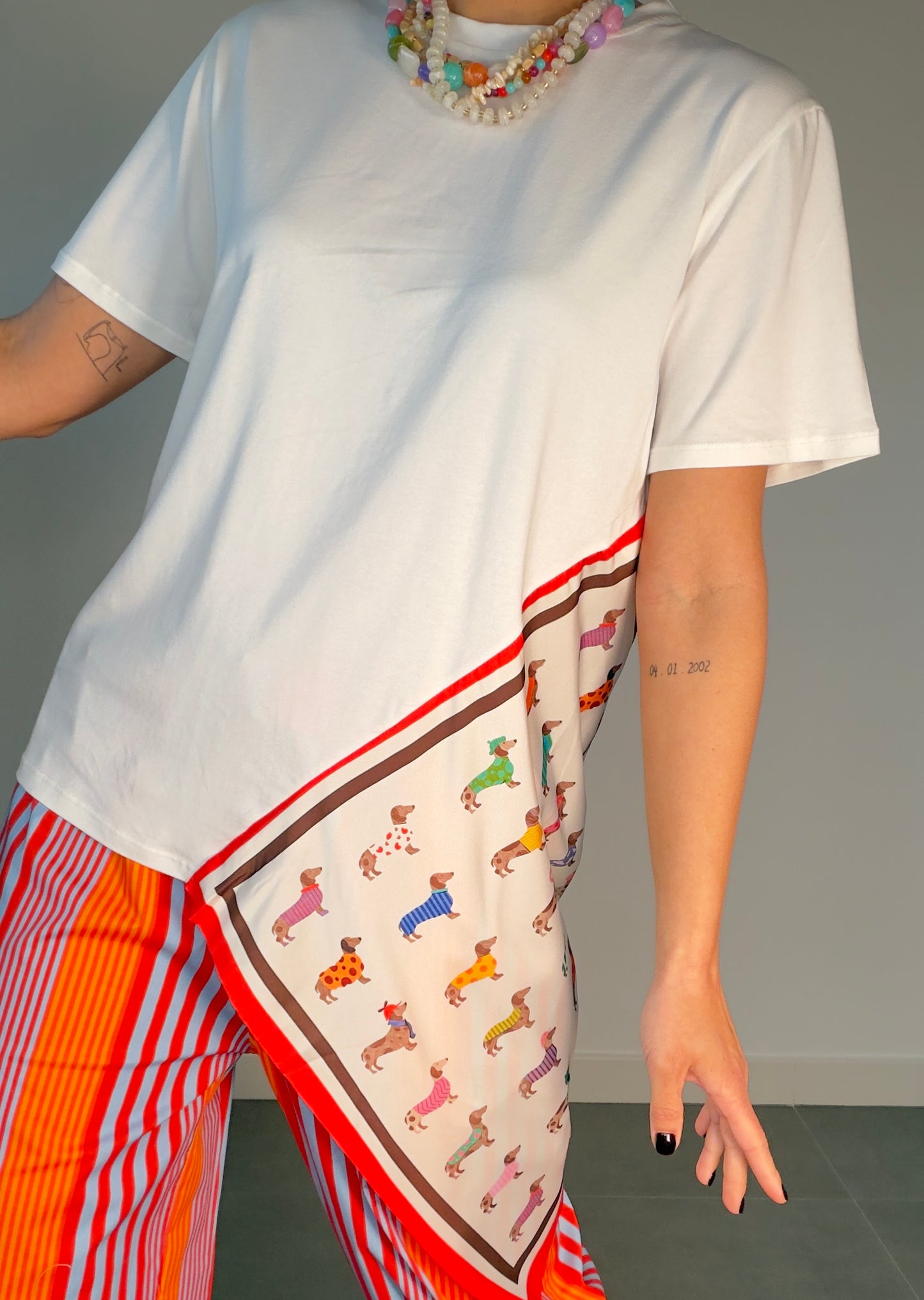 Camiseta PAÑUELO PERRO