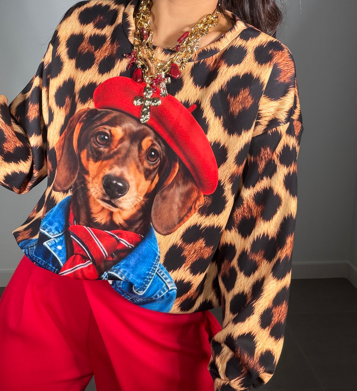 Sudadera ESTAMPADA DOG