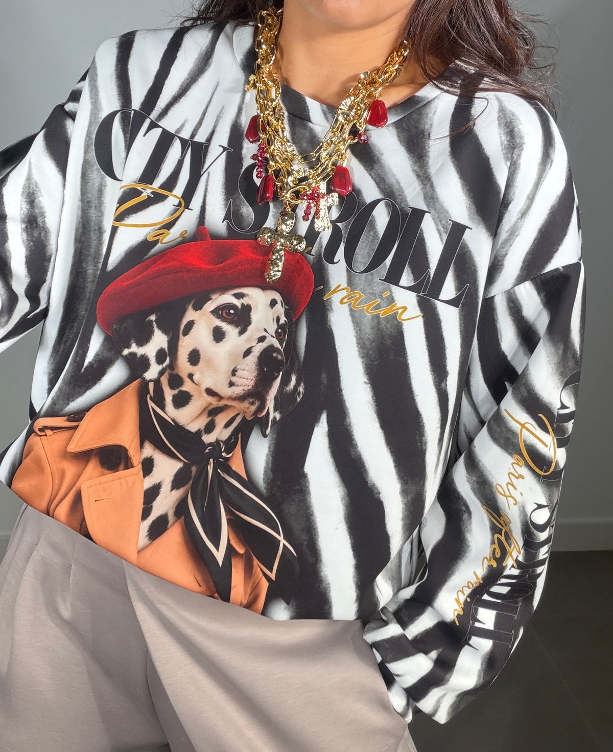 Sudadera ESTAMPADA DOG