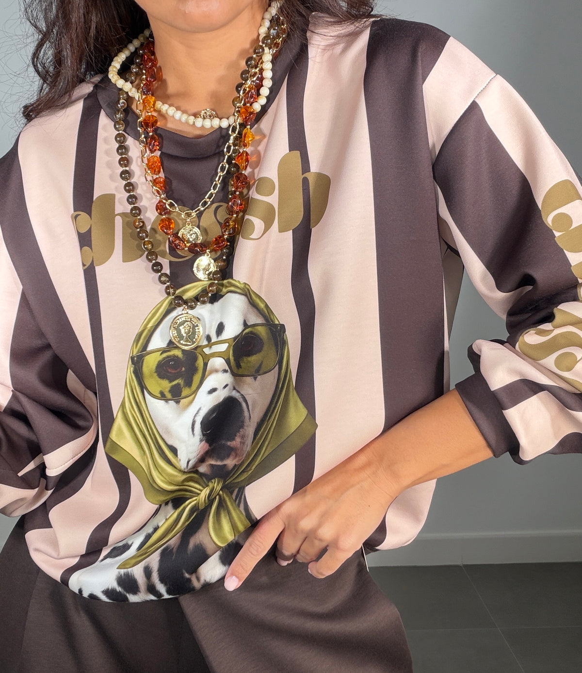 Sudadera ESTAMPADA DOG