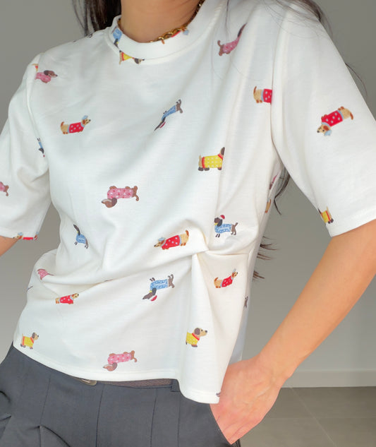 Camiseta CAPA DE AIRE PERRO SALCHICHA